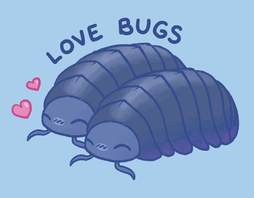 love bugs love bugs